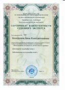 Исследование холодного и метательного оружия, до 2026 г