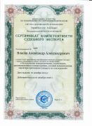 Исследование технологических, технических, организационных и иных причин протекания пожара до 2026 г