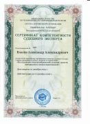Исследование видеоизображений, условий, средств, материалов и следов видеозаписей до 2026 г